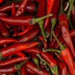 Яркая вышивка острых перцев чили в мексиканском стиле на текстиле