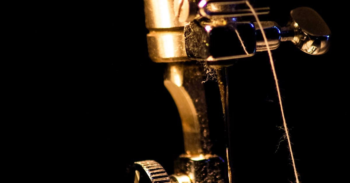 Декоративная вышивка золотыми нитями с изображением волка на ткани